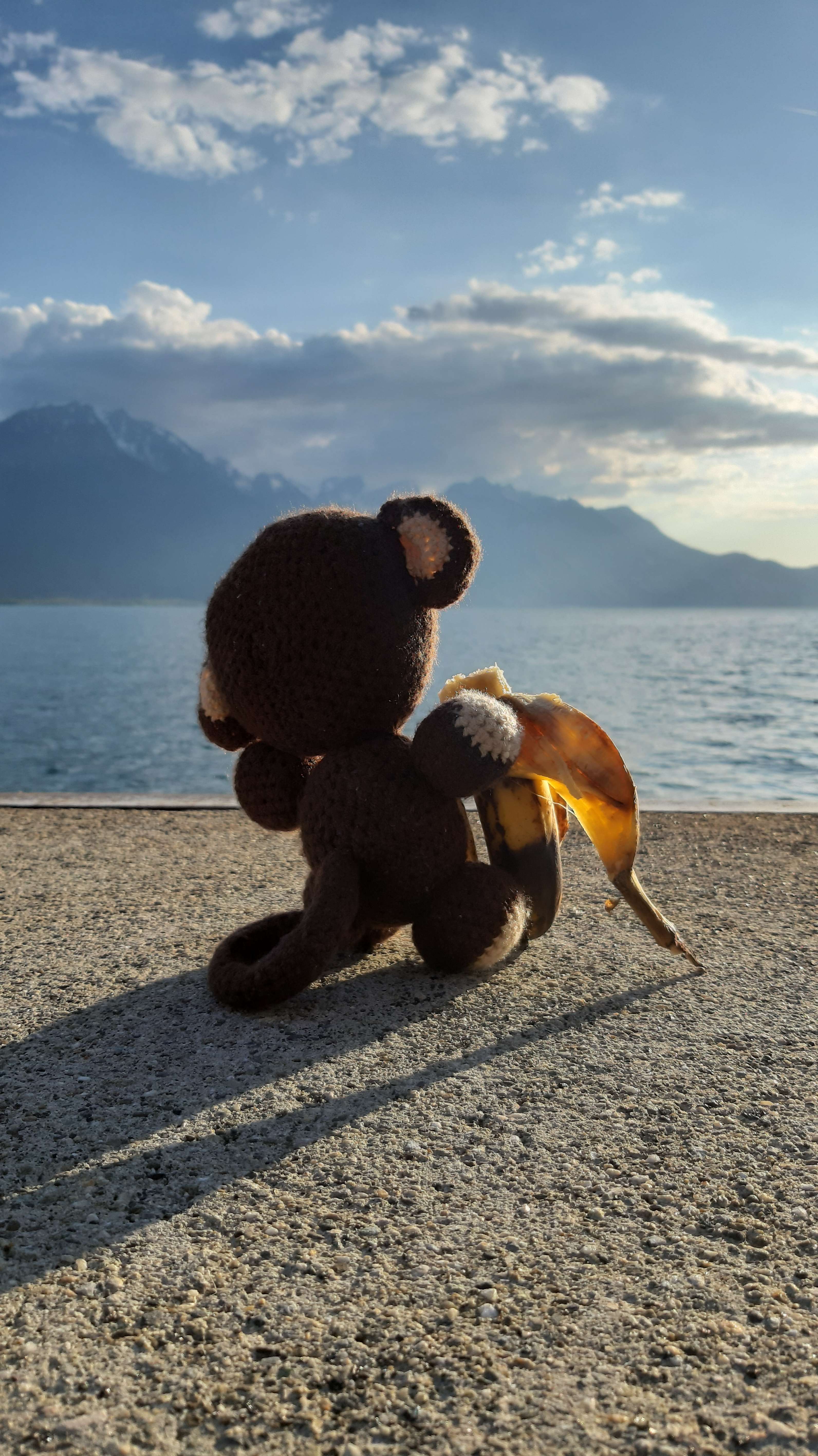A friendly monkey looking at the Léman lake